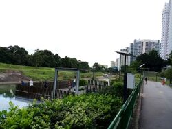 Blk 684B Choa Chu Kang Crescent (Choa Chu Kang), HDB 5 Rooms #605918541